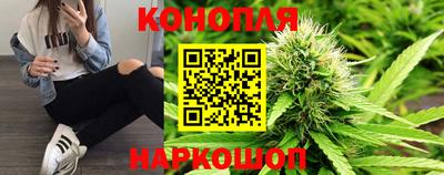 прущие грибы Тверь
