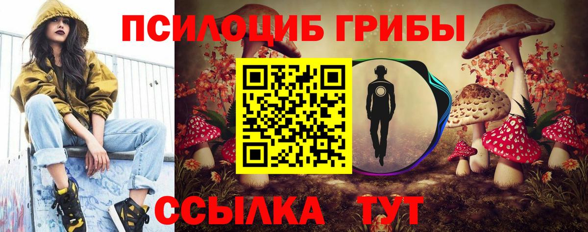 Орёл  Галлюциногенные грибы прущие грибы  Вход с VPN 
